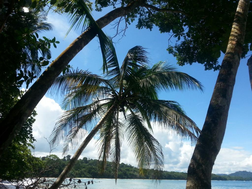 Mar Verde Lodge Puerto Viejo de Talamanca Bagian luar foto
