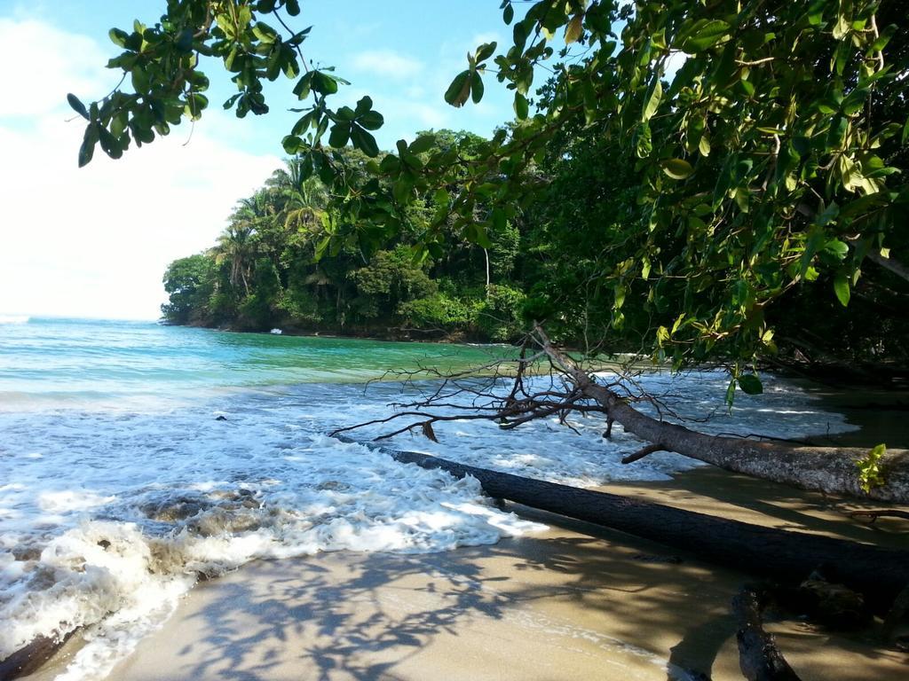 Mar Verde Lodge Puerto Viejo de Talamanca Bagian luar foto