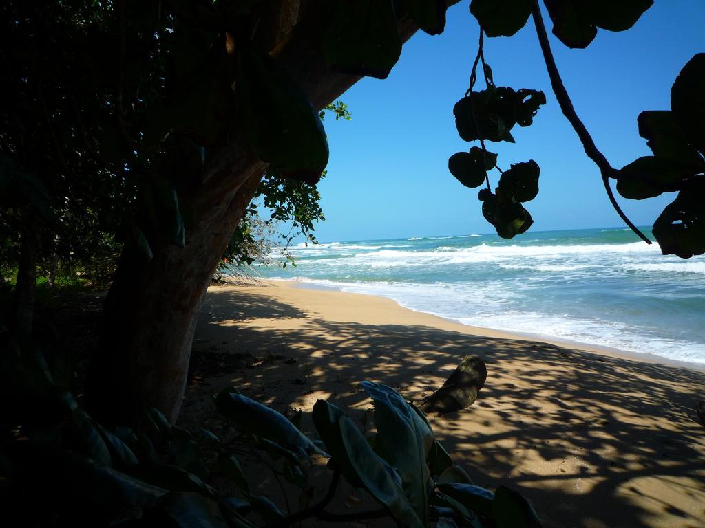Mar Verde Lodge Puerto Viejo de Talamanca Bagian luar foto