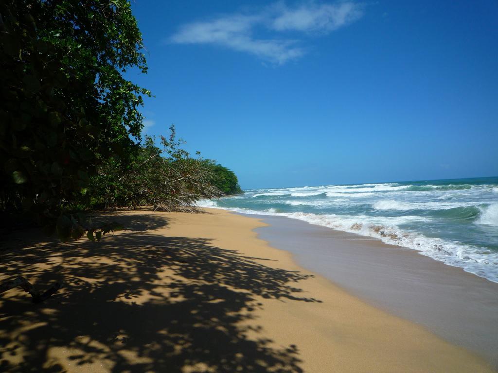 Mar Verde Lodge Puerto Viejo de Talamanca Bagian luar foto