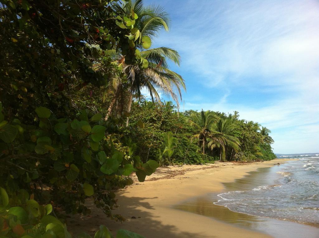 Mar Verde Lodge Puerto Viejo de Talamanca Bagian luar foto