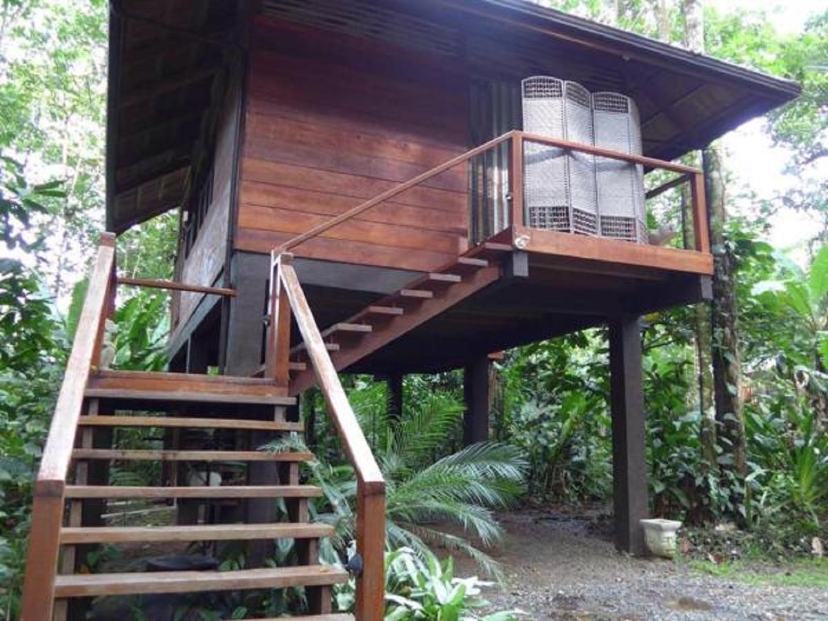 Mar Verde Lodge Puerto Viejo de Talamanca Bagian luar foto