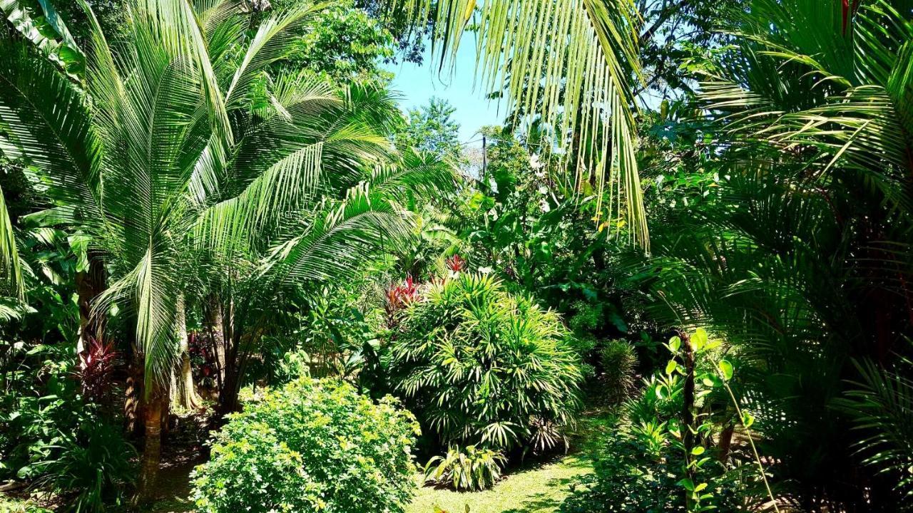 Mar Verde Lodge Puerto Viejo de Talamanca Bagian luar foto